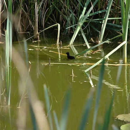 De Groene Pleisterplaats 3* Aalten