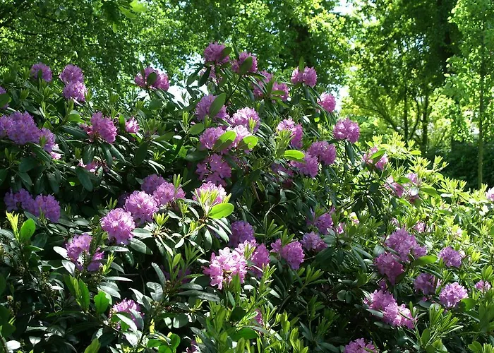 De Groene Pleisterplaats Bed & Breakfast Aalten