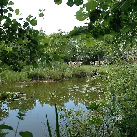 绿色佩雷斯特普拉茨住宿加早餐旅馆 3*