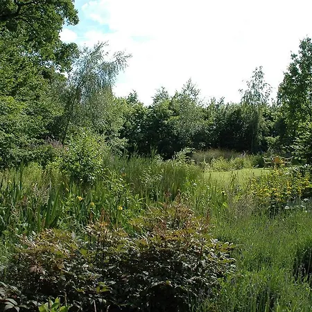 住宿加早餐酒店 绿色佩雷斯特普拉茨住宿加早餐旅馆 3*