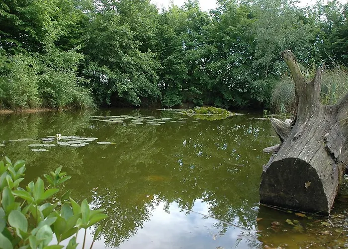 绿色佩雷斯特普拉茨住宿加早餐旅馆 3* 阿尔滕